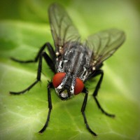 /album/mobile-mechanic-austin/photolia-a01-jpg/