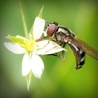 /album/mobile-mechanic-austin/photolia-a02-jpg/