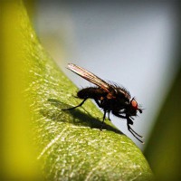 /album/mobile-mechanic-austin/photolia-a04-jpg/