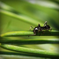 /album/mobile-mechanic-austin/photolia-a05-jpg/