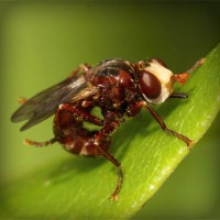 /album/mobile-mechanic-austin/photolia-a06-jpg/