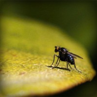 /album/mobile-mechanic-austin/photolia-a07-jpg/