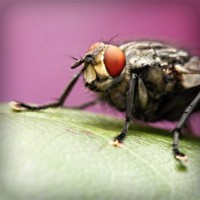 /album/mobile-mechanic-austin/photolia-a08-jpg/